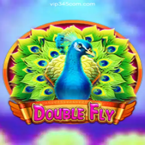 Exploring DoubleFly: A New Star in Online Gaming